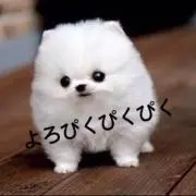 みかんの画像