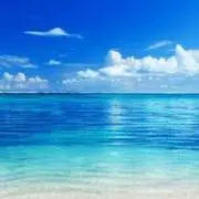 イングイングの画像