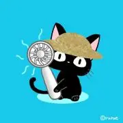 ‪‪❤︎‬みー❤︎の画像