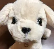 あられの画像
