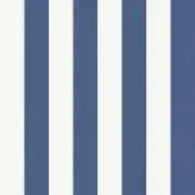 Rの画像