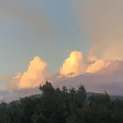 にいの画像
