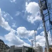 Lisaの画像