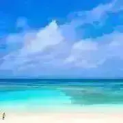 ミサナギの画像