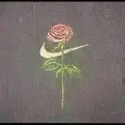 ぴっころの画像