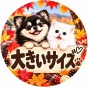 よーふくまる＊毎日発送してます＊の画像