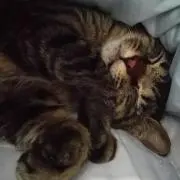 まぁぁまーー