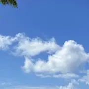 あいすの画像