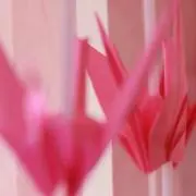 Hitomi 値下げ.即購入OKですの画像