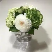 リコぴーの画像