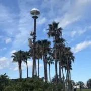Akariの画像