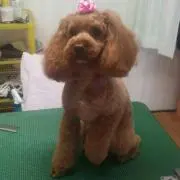 おばば