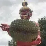 GIRI ODAの画像