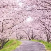 ✳︎はる✳︎街の雑貨屋さんの画像