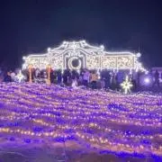 せいママ
