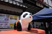 タルちゃんの画像