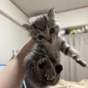 なあの画像