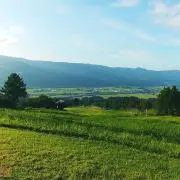 ももぞうの画像