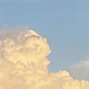 かの画像