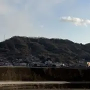 Mの画像
