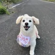 あぃちゃの画像