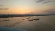 モカの画像