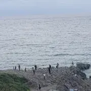 田舎モンの画像