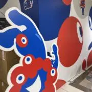 ぽんの画像