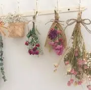 Flower＊の画像