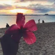 n♡の画像