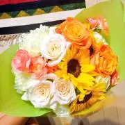 セイノマの画像