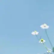 はな♡の画像