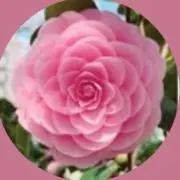 るんるんの画像