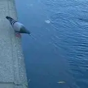 タの画像