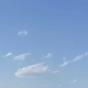 はちす※プロフ必読願いますの画像