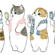 Mumon プロフィールご覧下さいの画像
