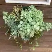 ⭐︎風RIN⭐︎の画像