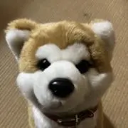 まさるの画像