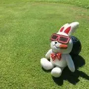 リッピの画像