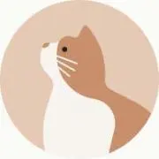 Ari Tin