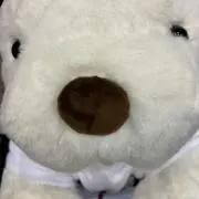 サクパンの画像