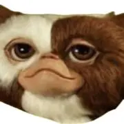 ごんの画像