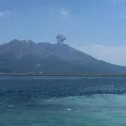 ぽんの画像