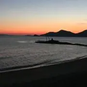 うめの画像