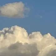 はるの画像