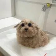 ゆーな