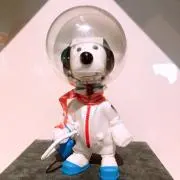 なつきち★の画像