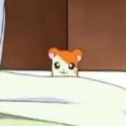 sakiikaの画像