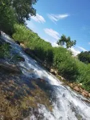 つぼ