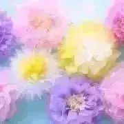 mizuki